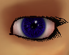 Colorful Indigo Eyes