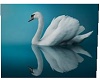 swan bathroom  mat