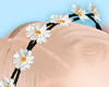K| daisies hair DRV