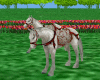 animated wedding horse 