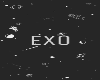 eXO