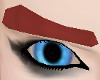 Red Eyebrows (M)/SP