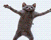 dancing cat,animated