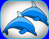 !  DOLPHIN ANIMATED