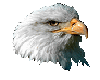 right Eagle Head