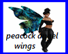 peacock angel wings