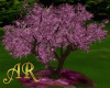 AR! Romantic Cherry Tree