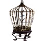 Classy Bird Cage