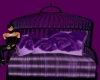 ~H~!purple! Relax Swing