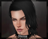 + Holden Void
