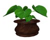 (SRS)Plant Avatar