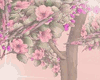 spring  Dream