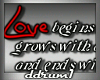 [DD]Love Begins...