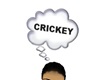 CK  Crickey Thought
