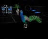 [DD] Blue peacock