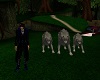 Animated Gray Wolf Pack