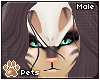 [Pets] Toxi | skull mask