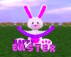 ~Happy Easter Bunny~