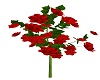 Red Roses Animated 