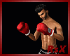 Boxing Action  /Red
