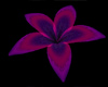 My Glow Purple Plumeria