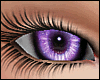 Amethyst Glitters Unisex
