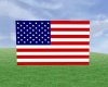 ~American Flag (FN)