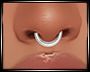 LS~Septum v6