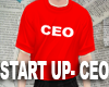 START UP - CEO