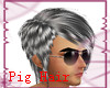 [J3J]Pig Hair