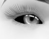 𝒩. Snow Eyes BO F/M