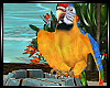 Tropicana Cute Parrot