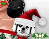 Xmas Set + Socks +Pet