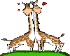hugging giraffs