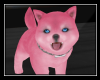 Shiba Pink