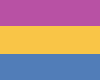 Pansexual Pride Flag Rug