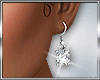 Diamond Earings