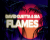 Sia & D. Guetta - Flames