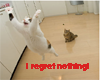 Regret Nothing Cat