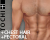 #T Muscle HD-II #Hunk
