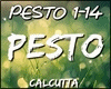 Calcutta - PESTO -  1-14