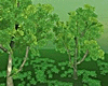 Clover Photoroom