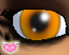 [FC Model Eyes-pumpkin