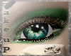 .RS.EYE MAKE UP.01.