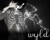 skeleton see through