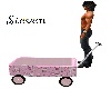 SG/Kry's lil Pink Wagon