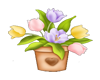 tulip flowerpot