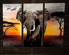 SAFARI ELEPHANT 3PC ART