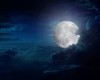 Moonlight 3