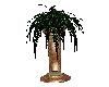 Plant on pillar